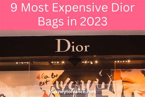 dior bag france price|most expensive Dior bag.